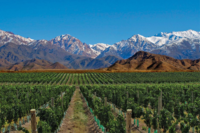 VALLE DE UCO MENDOZA